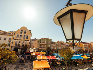 Experiencias del curso de Adaptación y Nivelación.