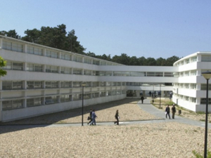 Experiencias del curso de Adaptación y Nivelación.